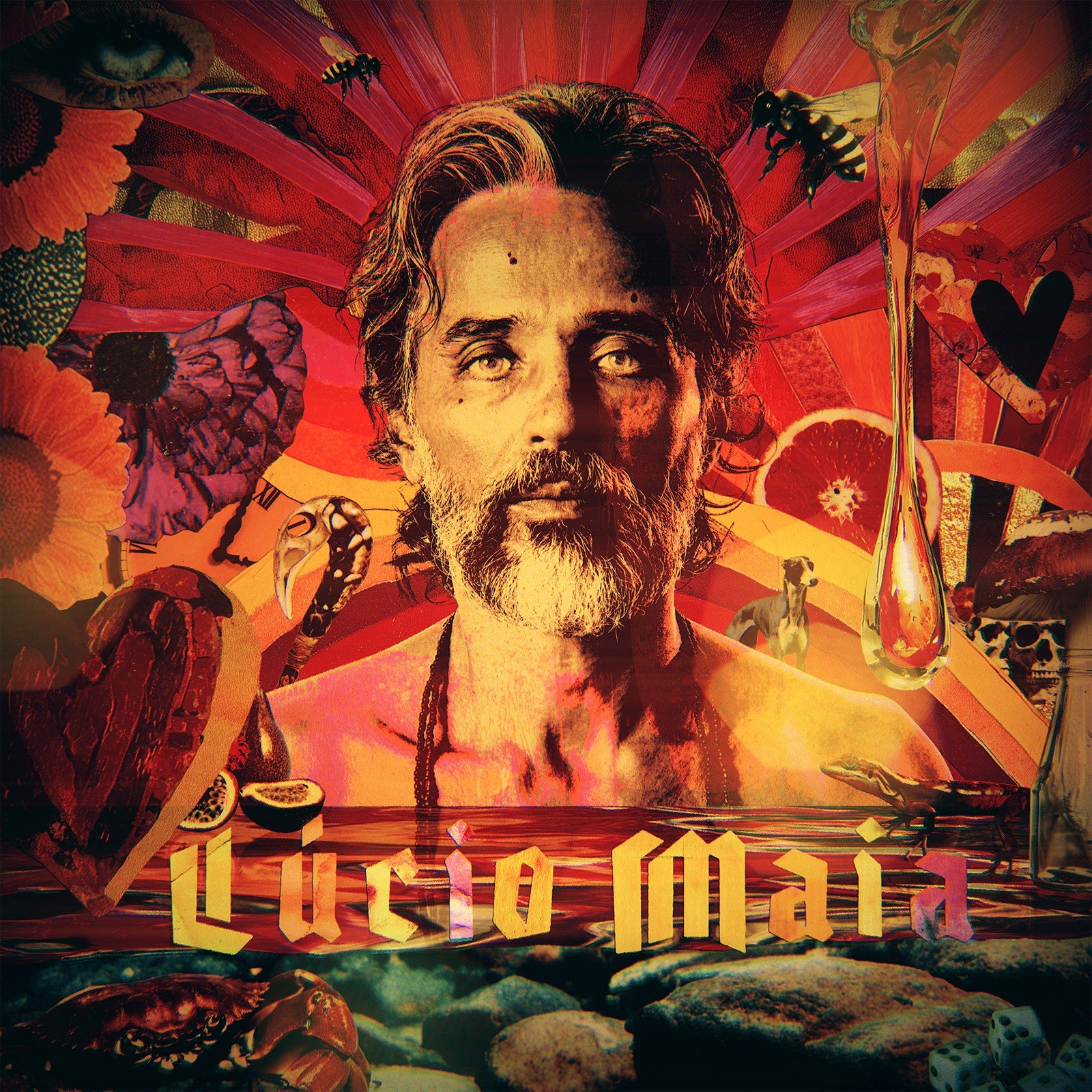 O guitarrista pernambucano Lúcio Maia lançou em 16