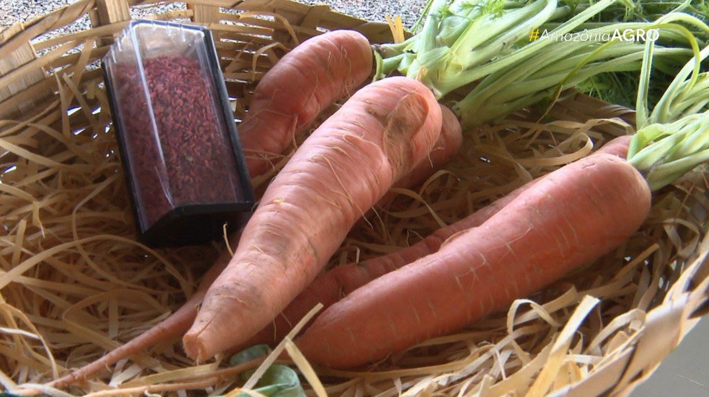 O calor extremo está ameaçando a produção de alimentos no