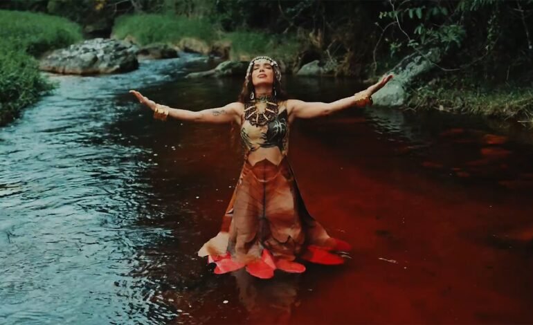 Estrelas do pop brasileiro controlam divulgação e limitam cr