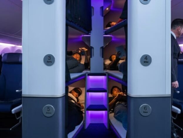 A companhia aérea Air New Zealand vai oferecer