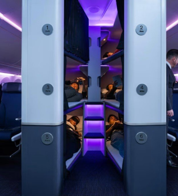 A companhia aérea Air New Zealand vai oferecer