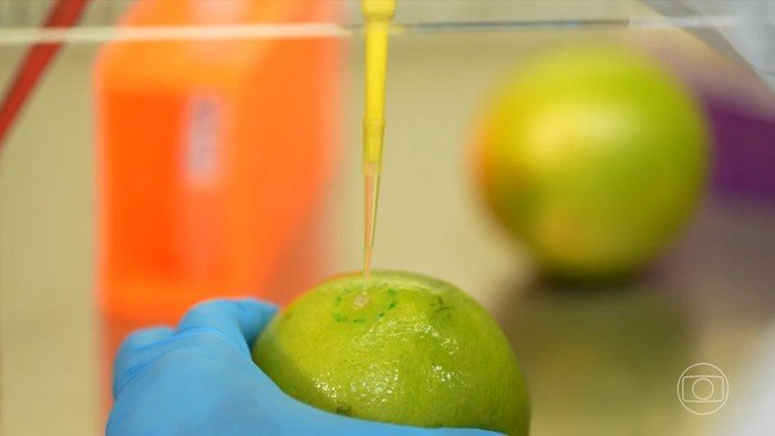 Pesquisadores da Universidade Federal do Rio de Janeiro