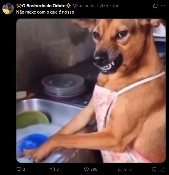 O tradicional cachorro de pelagem amarela, conhecido como