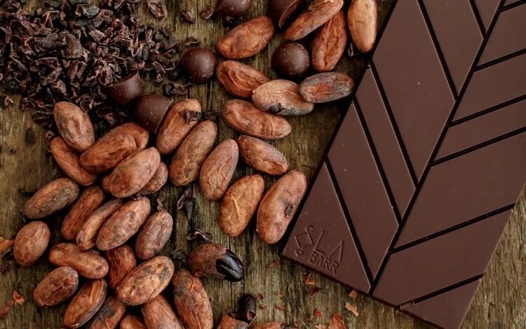 Preço do cacau cai mas indústria mantém valor alto dos choco