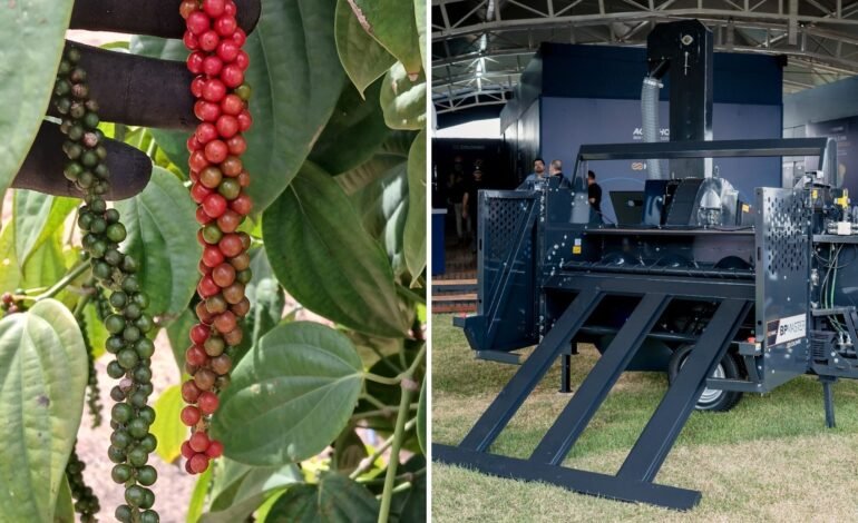 Empresa lança máquina que mecaniza colheita de pimenta