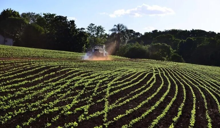 A guerra no Irã ameaça o abastecimento de fertilizantes esse