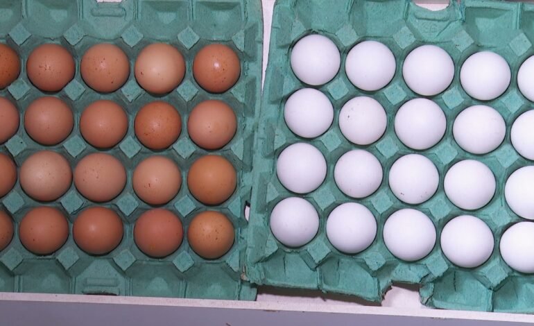 O preço dos ovos na quaresma de 2026 em Bastos