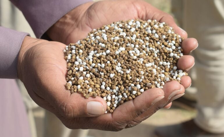 Em 2025, o Brasil importou 88% dos fertilizantes