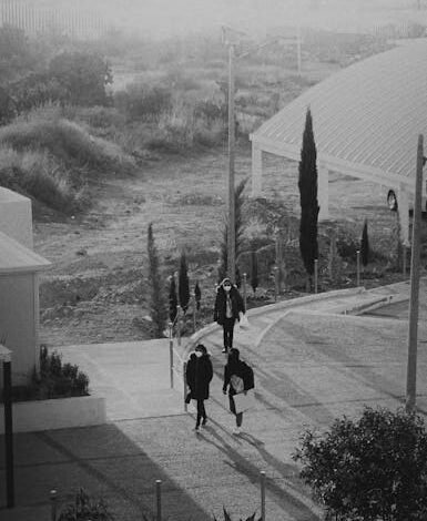 O governo federal anunciou nesta segunda-feira (6) um