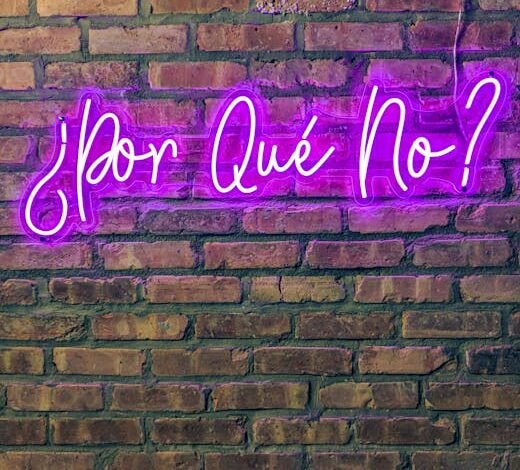 A demanda por apoio financeiro do Fundo Monetário