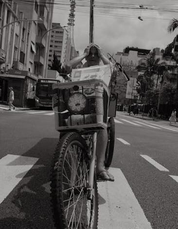 A BYD u, nesta segunda-feira (6), uma nova versão do