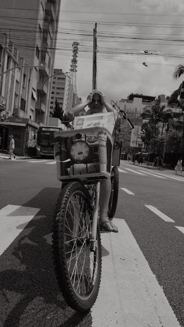 A BYD u, nesta segunda-feira (6), uma nova versão do