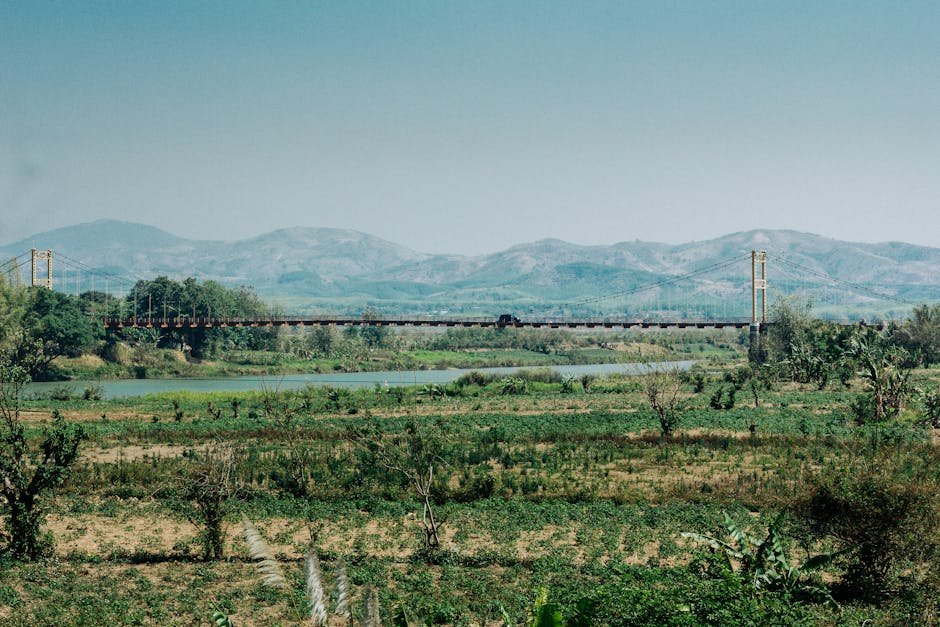O Índice de Atividade Econômica (IBC-Br), considerado uma