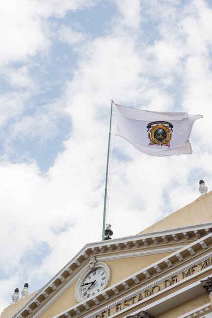 O governo federal, os estados e os municípios