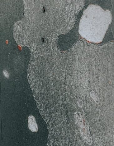 O governo anunciou nesta quarta-feira (8) que Guilherme