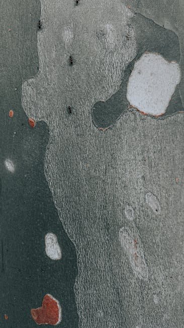 O governo anunciou nesta quarta-feira (8) que Guilherme