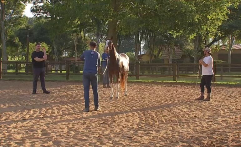 A Expo Agro de Itapetininga, que ocorre anualmente no municí