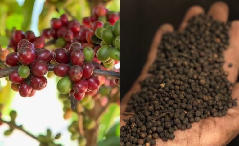 O conflito no Oriente Médio prejudica as exportações