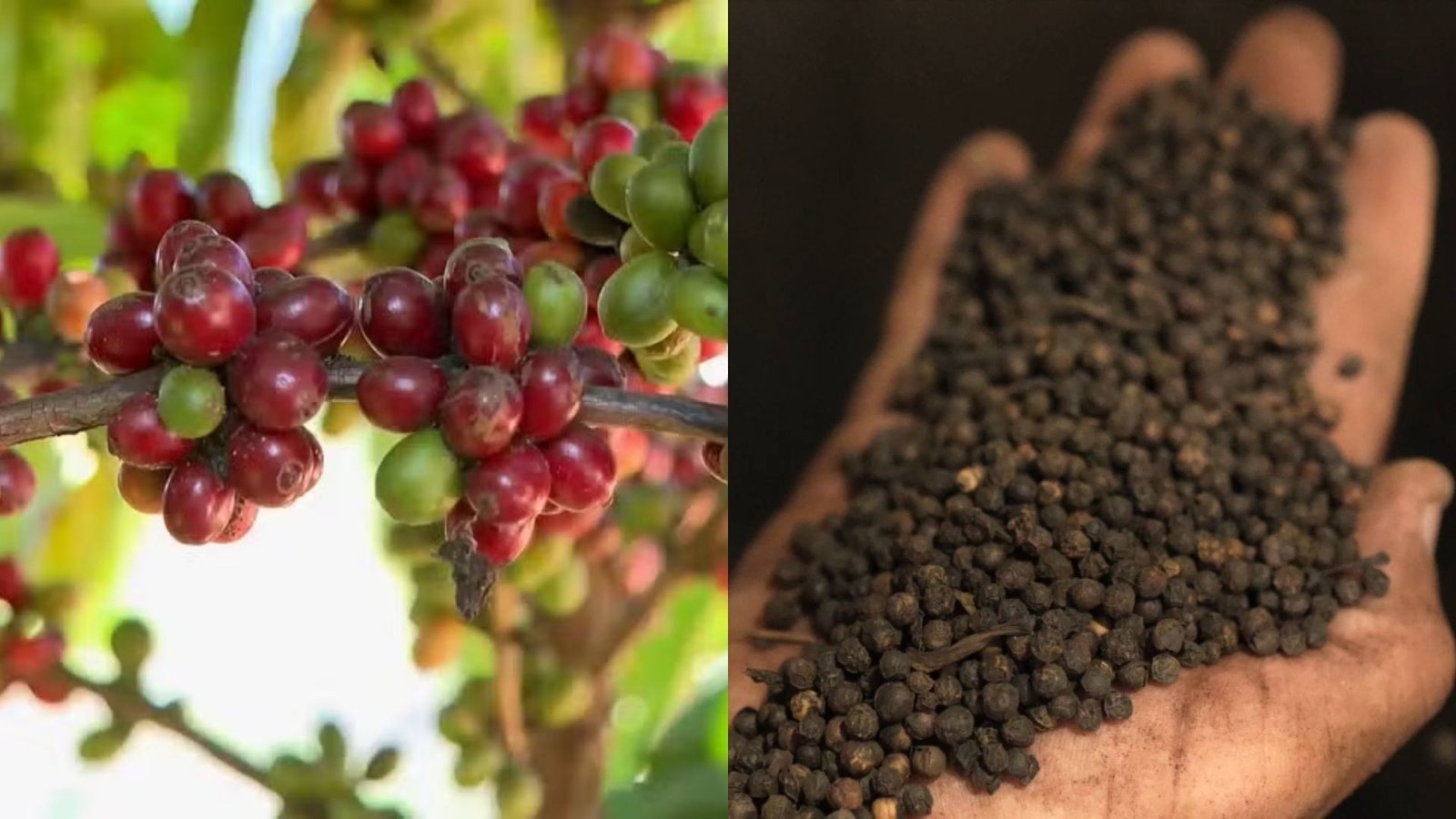 O conflito no Oriente Médio prejudica as exportações