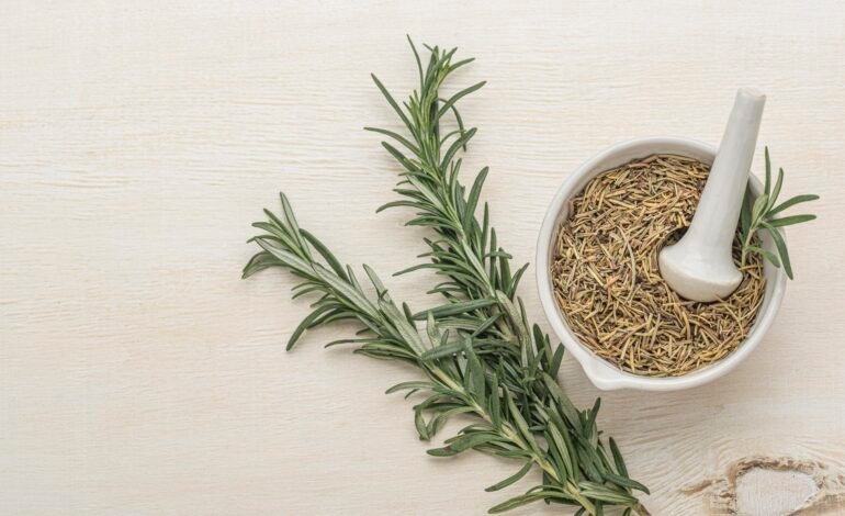 O governo federal proibiu nesta sexta-feira (10) a