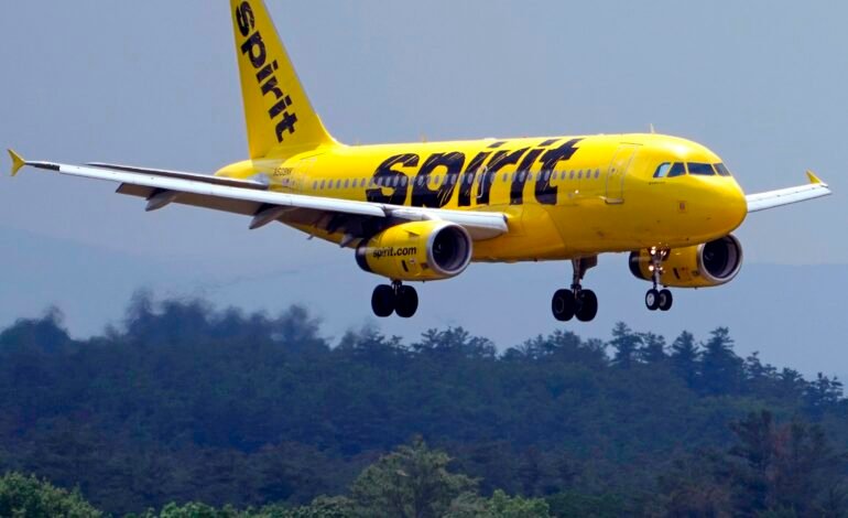 A Spirit Airlines informou neste domingo (3) que