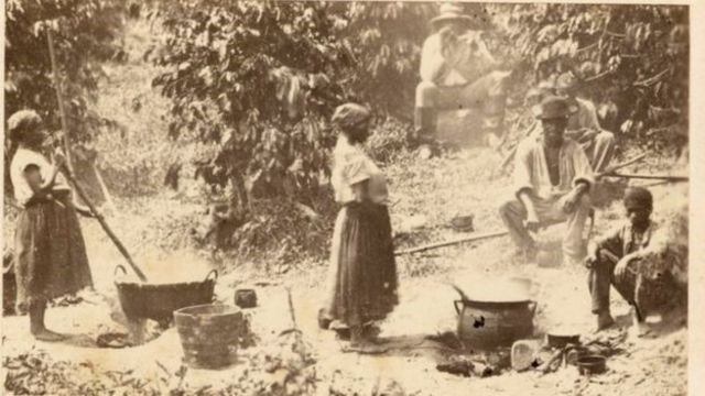 Homens e mulheres escravizados trabalhando em fazenda de