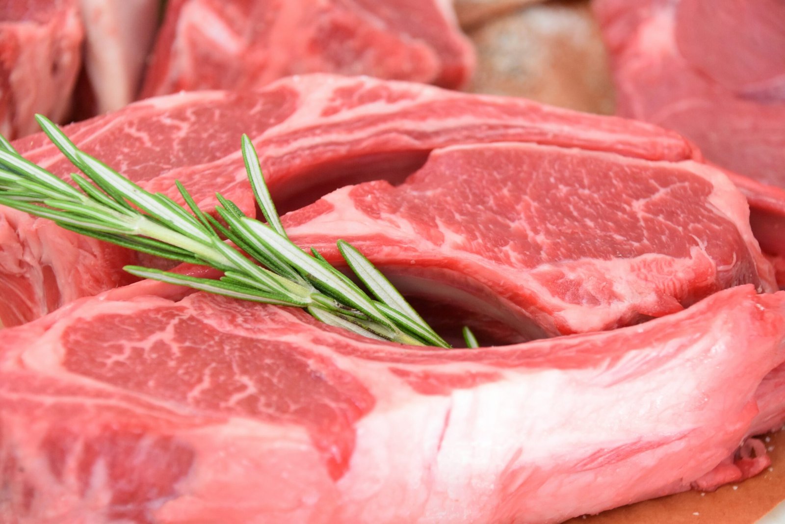 União Europeia veta importações de carne e produtos