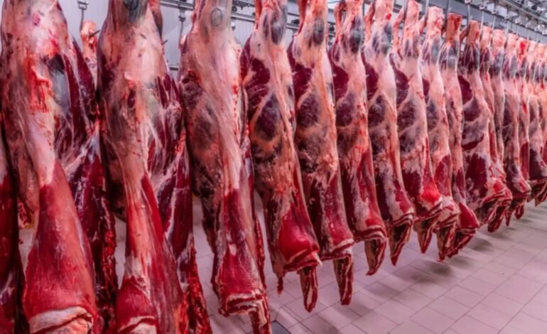 Vietnã habilitou frigorífico de MS para exportar carne bovin