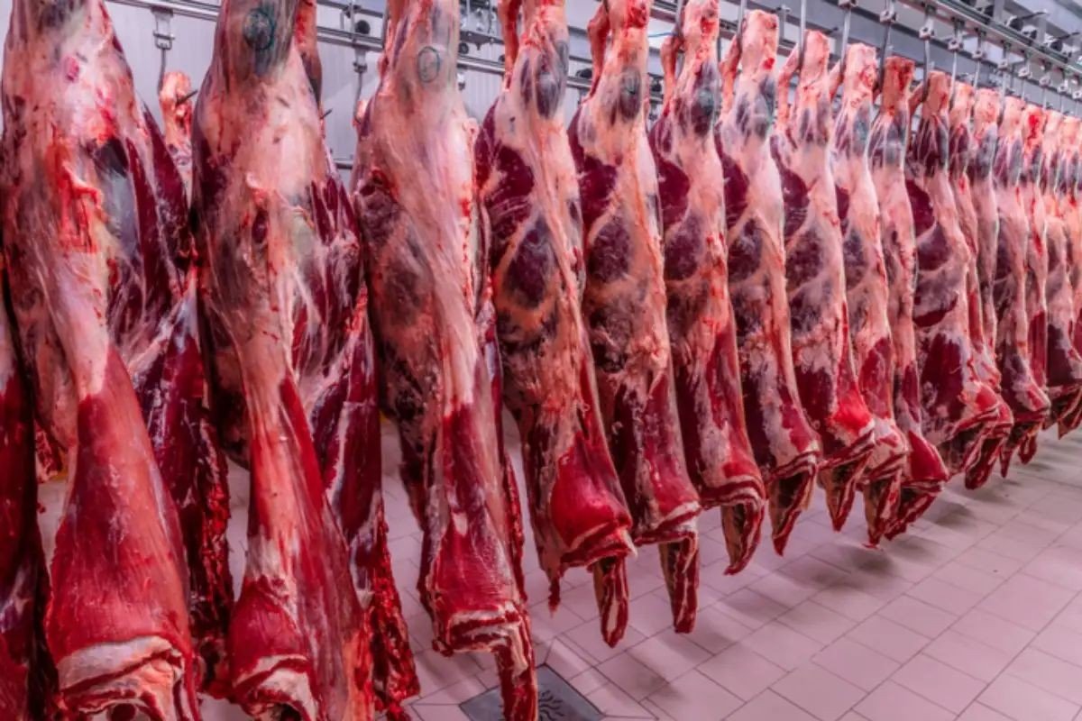Vietnã habilitou frigorífico de MS para exportar carne bovin