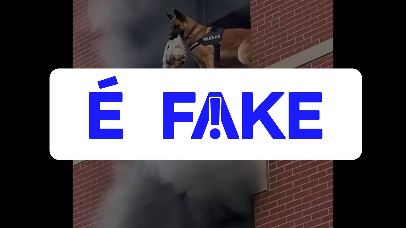 Vídeo criado por inteligência artificial mostra falso resgat