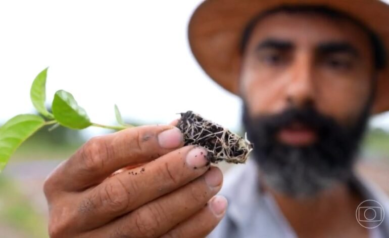 No Vão do Paranã, no nordeste de Goiás, agricultores familia
