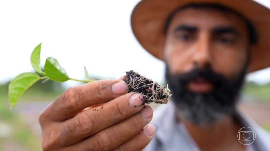 No Vão do Paranã, no nordeste de Goiás, agricultores familia