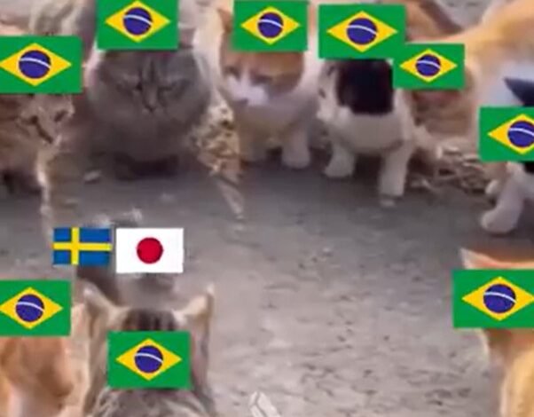 A seleção do Japão empatou com a Suécia na última