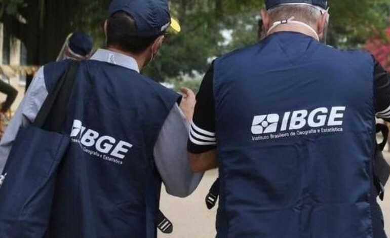 O Instituto Brasileiro de Geografia e Estatística (IBGE)