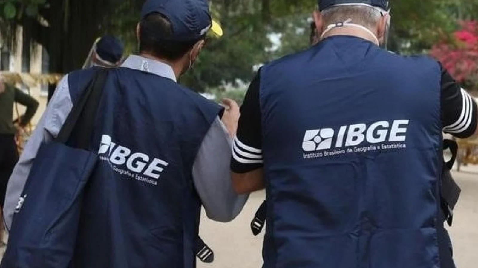 O Instituto Brasileiro de Geografia e Estatística (IBGE)