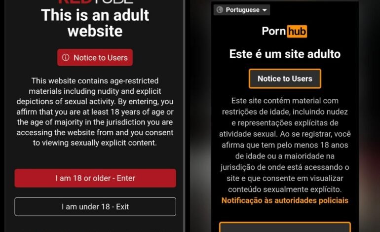 Anpd fiscaliza 18 sites pornográficos para verificar bloquei