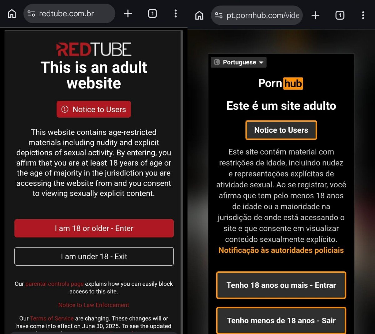 Anpd fiscaliza 18 sites pornográficos para verificar bloquei