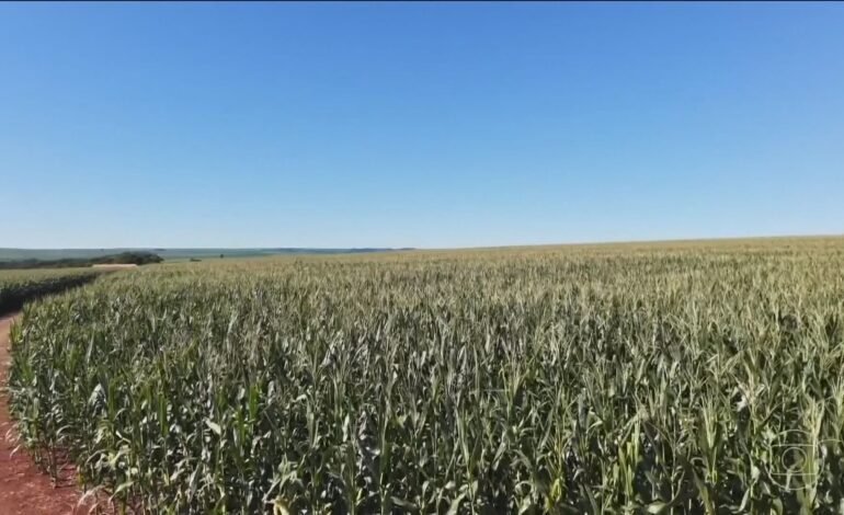 Previsões indicam a possibilidade de um super El Niño no