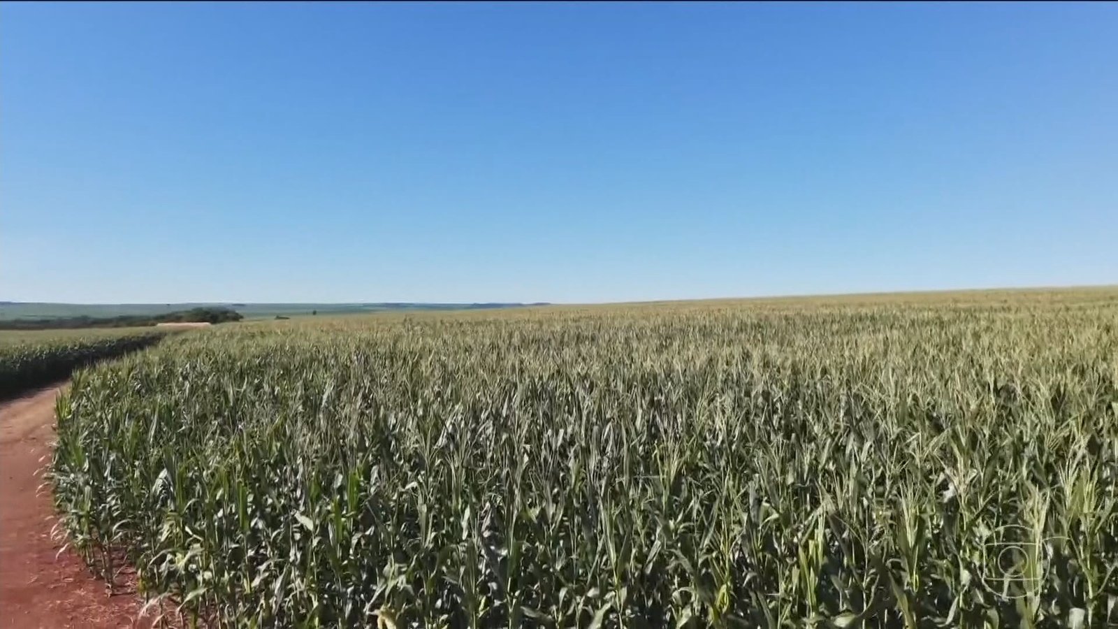 Previsões indicam a possibilidade de um super El Niño no
