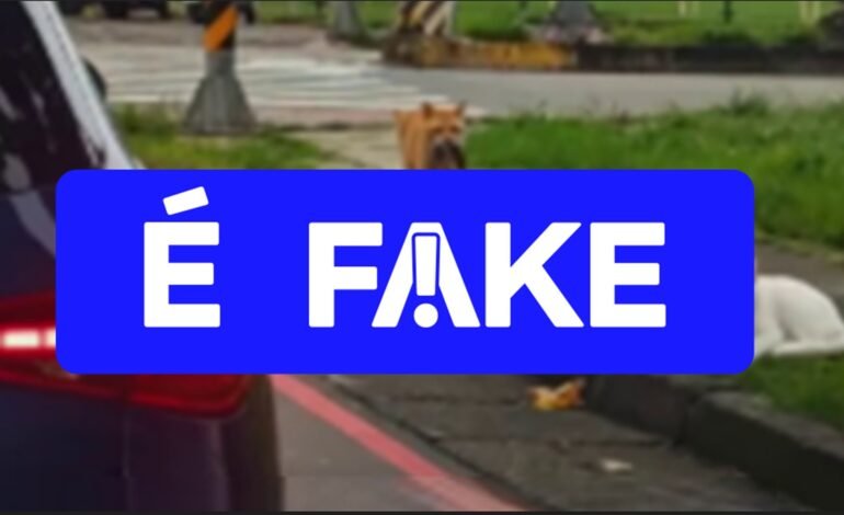 Circula nas redes sociais um vídeo que mostra
