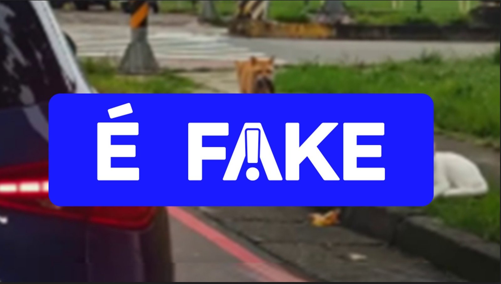 Circula nas redes sociais um vídeo que mostra