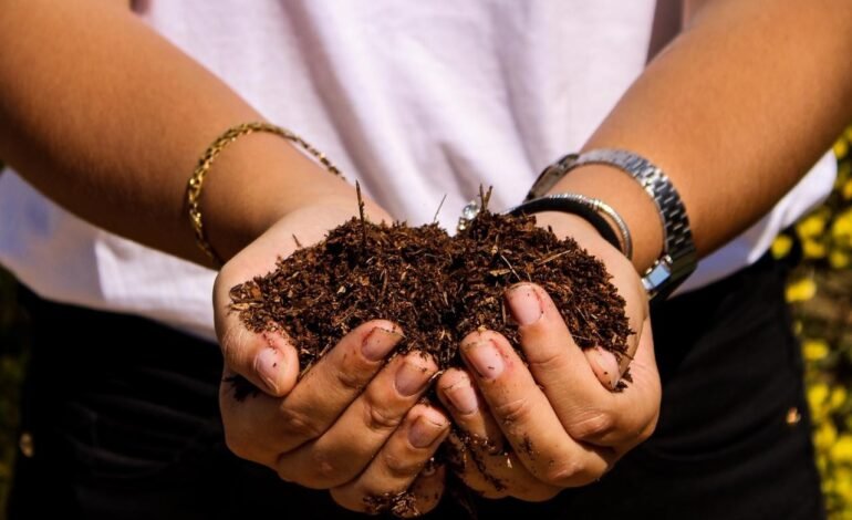 Usina verde transforma alimentos desperdiçados em adubo Polu