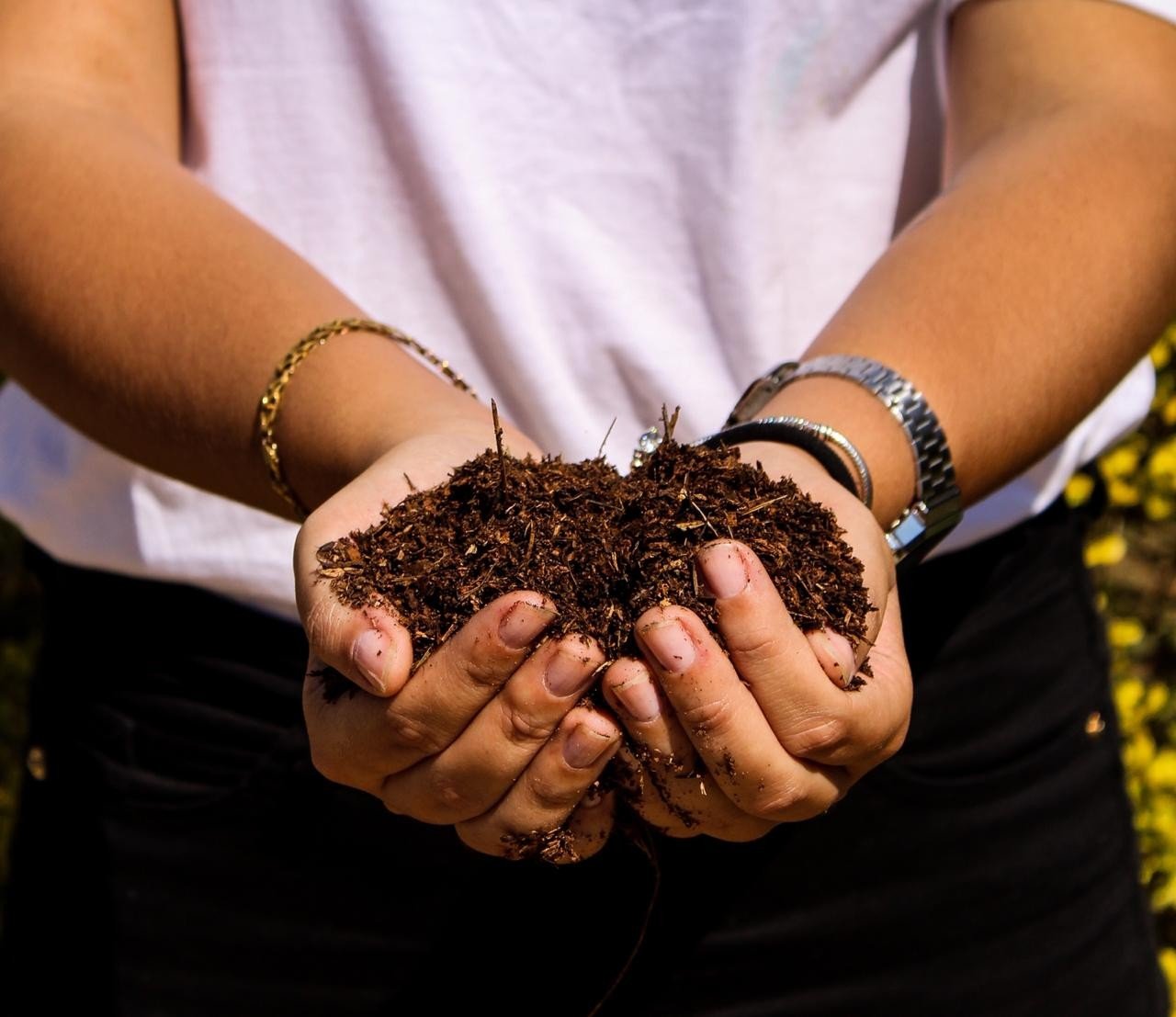 Usina verde transforma alimentos desperdiçados em adubo Polu